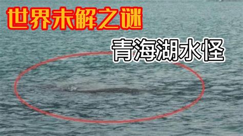 世界未解之谜：青海湖水怪高清1080p在线观看平台腾讯视频