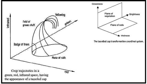 Tasseled Cap Transformations Of Image Data Tct Hassan 2010 The Download Scientific