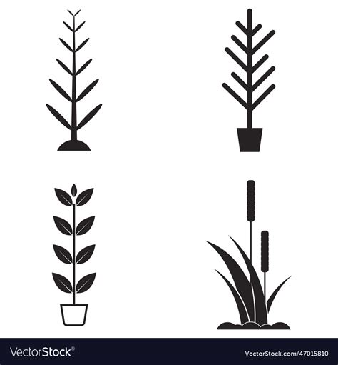 Plant icon Royalty Free Vector Image - VectorStock