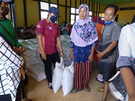 225 KPM Se Kecamatan Belitang Terima Bantuan Beras PKH Terdampak