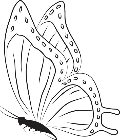 Isolated Simple Minimal Graphic Contour Line Butterfly Drawing