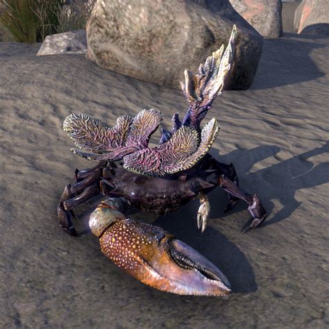 Onlinecoral Crab The Unofficial Elder Scrolls Pages Uesp