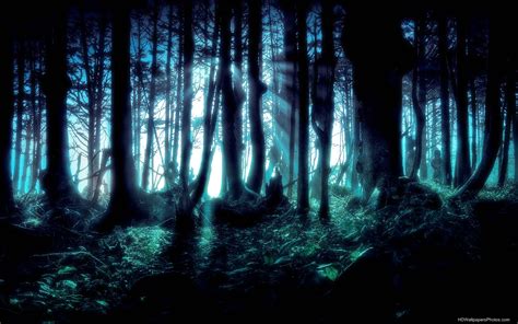 🔥 [44+] HD Dark Forest Wallpapers | WallpaperSafari