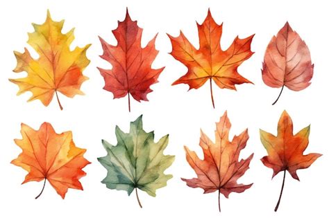 Premium Ai Image A Collection Of Colorful Autumn Leaves