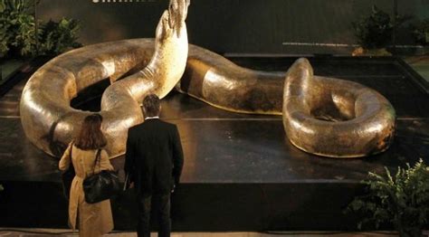 Titanoboa Ular Terbesar Di Dunia Ini Hidup Lagi Global