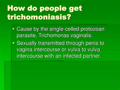 Ppt Trichomoniasis Powerpoint Presentation Id975567