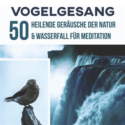 Vogelgesang 50 Heilende Geräusche der Natur Wasserfall für