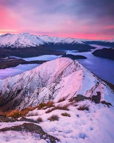 Purple Haze Wanaka New Zealand Rach Stewart Adventure Travel