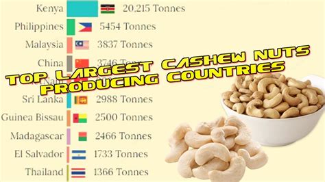 Top Largest Cashew Nuts Producing Countries Youtube