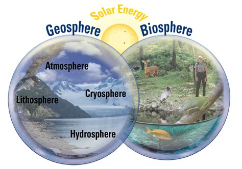 Biosphere Diagram