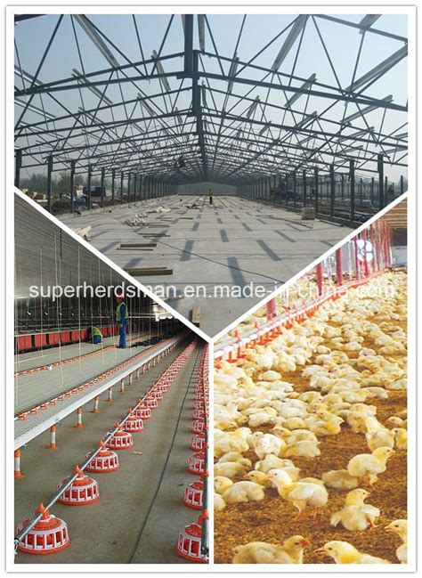 Prefab Steel Structure Poultry Farm House Design And Construction