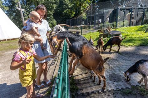 Tierische Vielfalt Aus Dem Wilden Westen Im Tierpark Limbach Oberfrohna