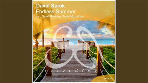 Endless Summer Original Mix Youtube