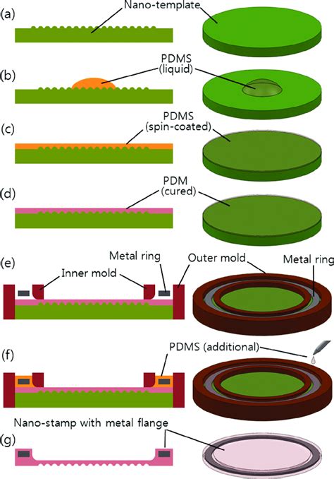 The Proposed Process For The Fabrication Of A Thin Pdms Nanostamp