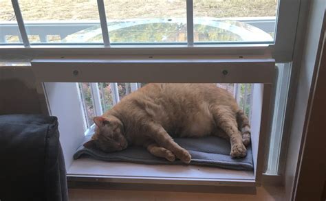 Window Mounted Cat Enclosures Cat Solarium The Cat Window Box Catio Cat Balcony