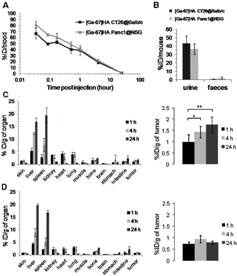 Blood Excretion And Organ Biodistribution Profiles Of Ga Ha Thp