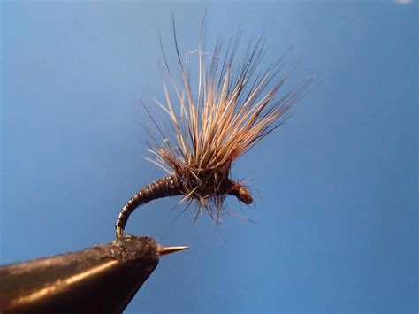 Deer Hair Emerger Step By Step Patterns Tutorials Fly Tying