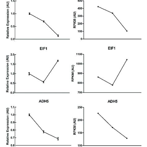 Quantitative Real Time Pcr Qrt Pcr Validation Of Degs At Different