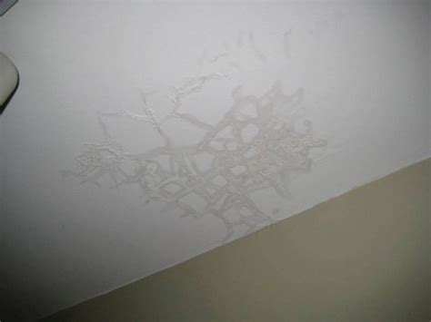 Ceiling Repair: Water Leak Ceiling Repair