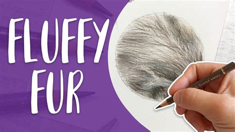 How To Draw Fluffy Fur Colored Pencil Drawing Tutorial Youtube