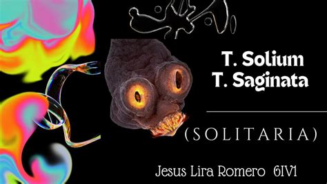 T Solium T Saginata Lira Romero Jesús uDocz