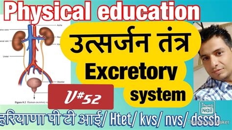 Utsarjan Tantra Excretory System Pti Tgt Pgt Hssc Dsssb Kvs Nvs Htet