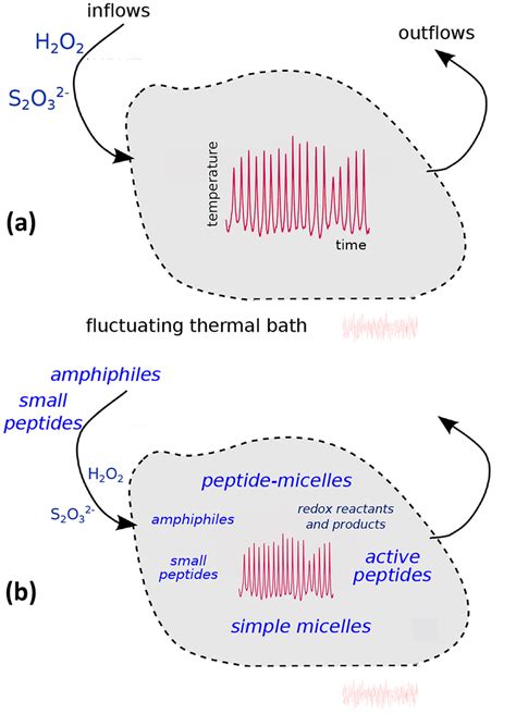 Schematic Representation Of The Open Dissipative Flow Cell Modelled By