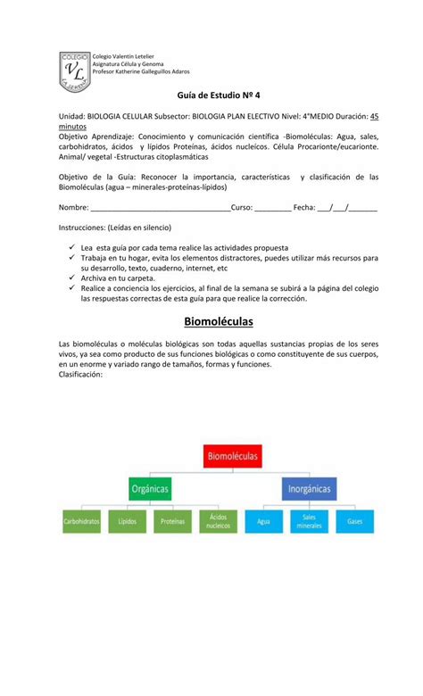 PDF Guía sobre el Ciclo Celular Mitosis Guía de Estudio Nº 4