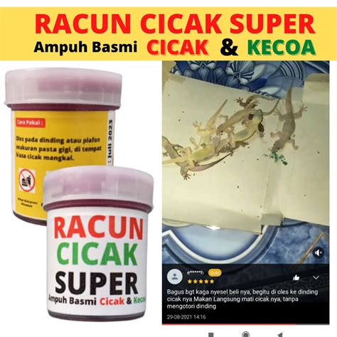 Jual Racak Racun Cicak Super Herbal Original Pembasmi Cicak Ampuh