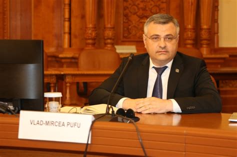 Liberalul Vlad Mircea Pufu noul preşedinte al Comisiei pentru cultură