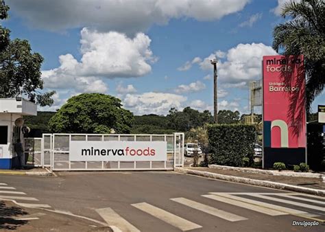 Minerva Foods registra Ebitda de R 713 7 milhões no 3T23 Portal e TV