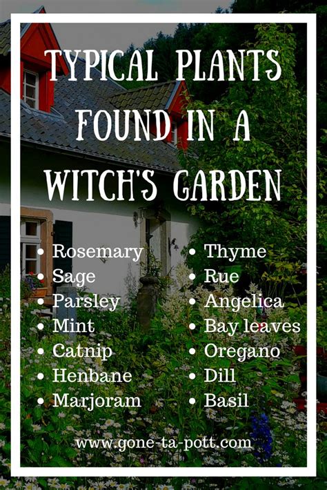 What Is A Witches Garden A Witches Garden Is An Herb Garden