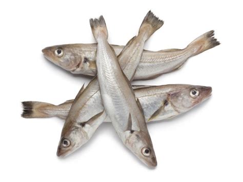 fish  chix