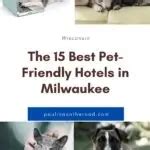 15 Best Pet-Friendly Hotels in Milwaukee, WI - Paulina on the road