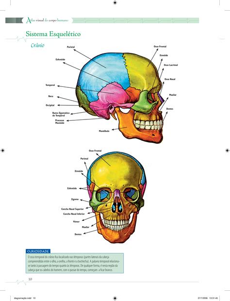 Anatomia Do Corpo Humano Pdf - 5