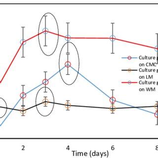 Plot of growth pattern of Pseudomonas putida KT2440 on three different ...
