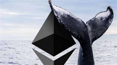 Whales Starting Transfer Hundreds Of Ethereum To Crypto Exchange