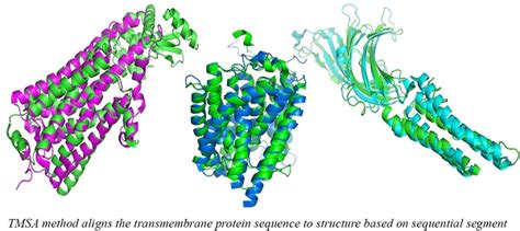 A Sequential Segment Based Alpha Helical Transmembrane Protein Alignment Method