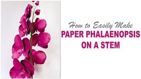 Learn How To Make Realistic Phalaenopsis Paper Flower Using Tcs Paper Flower Template Paper