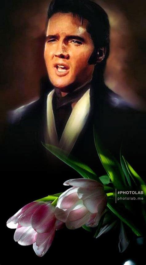 Pin By Maria Ionescu On Elvis Elvis Presley Pictures Elvis Presley