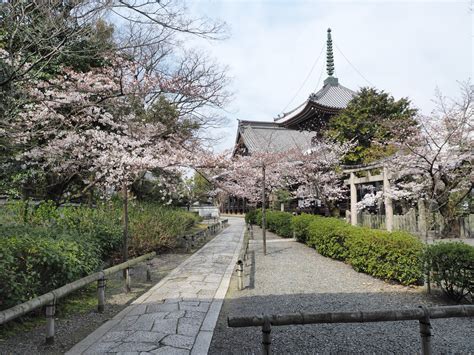 本法寺 京都市 Honpō Ji Kyoto Japaneseclassjp