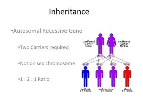 Inheritance