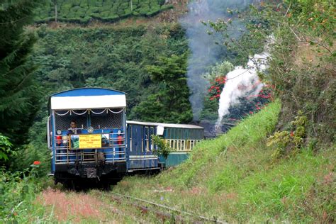 Rameshkidangoor: Ooty Toy Train