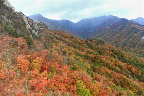 【韓國自由行】全韓國10大好玩旅遊城市攻略，賞櫻、滑雪、賞楓必去景點推薦 Bringyou