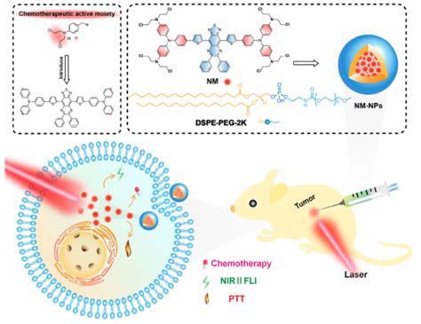 纳米探针 肿瘤近红外成像与化疗 光热协同治疗的有机单分子纳米平台 知乎