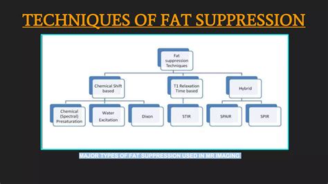 Fat Suppression Techniques In MRI PPT