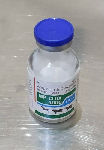 Liquid Ampicillin And Cloxacillin Antibiotic Veterinary 4 0 Gm