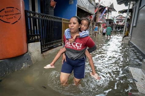 Banjir Rob Menggenangi Rt Di Marunda Dan Pluit Jakarta Utara