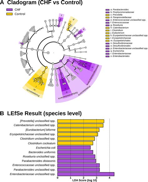 Results Of Linear Discriminant Analysis Effect Size Lefse The