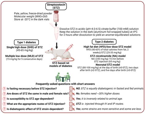 Streptozotocin As A Tool For Induction Of Rat Models Of Diabetes A